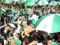 Foto: Barra: Los del Sur • Club: Atlético Nacional • País: Colombia