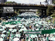 Foto: Barra: Los del Sur • Club: Atlético Nacional • País: Colombia