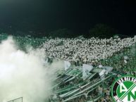 Foto: Barra: Los del Sur • Club: Atlético Nacional