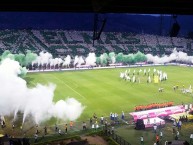 Foto: "Final de la Liga Ãguila 2 2015" Barra: Los del Sur • Club: Atlético Nacional