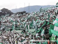 Foto: Barra: Los del Sur • Club: Atlético Nacional