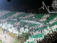 Foto: Barra: Los del Sur • Club: Atlético Nacional