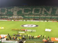 Foto: "Tifo sueño continental 08/03/2016" Barra: Los del Sur • Club: Atlético Nacional