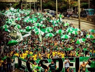 Foto: Barra: Los del Sur • Club: Atlético Nacional • País: Colombia