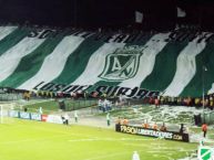 Foto: Barra: Los del Sur • Club: Atlético Nacional • País: Colombia