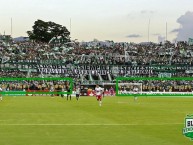 Foto: Barra: Los del Sur • Club: Atlético Nacional • País: Colombia