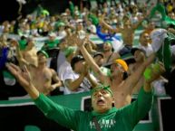 Foto: Barra: Los del Sur • Club: Atlético Nacional • País: Colombia