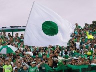 Foto: Barra: Los del Sur • Club: Atlético Nacional • País: Colombia