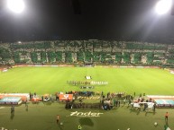 Foto: Barra: Los del Sur • Club: Atlético Nacional