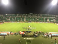 Foto: Barra: Los del Sur • Club: Atlético Nacional • País: Colombia