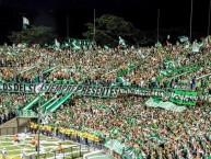 Foto: Barra: Los del Sur • Club: Atlético Nacional • País: Colombia