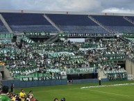 Foto: "Orlando, USA" Barra: Los del Sur • Club: Atlético Nacional