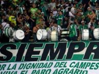 Foto: Barra: Los del Sur • Club: Atlético Nacional • País: Colombia