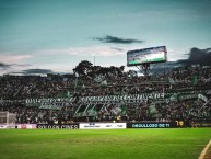 Foto: Barra: Los del Sur &bull; Club: Atlético Nacional