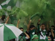 Foto: Barra: Los del Sur • Club: Atlético Nacional • País: Colombia