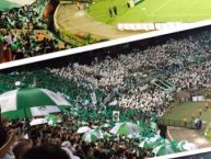 Foto: Barra: Los del Sur • Club: Atlético Nacional • País: Colombia