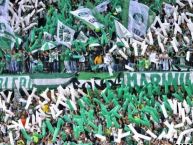 Foto: Barra: Los del Sur • Club: Atlético Nacional • País: Colombia