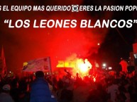 Foto: Barra: Los Leones Blancos • Club: Walter Ormeño • País: Peru