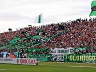 Foto: Barra: Los Pibes de Chicago • Club: Nueva Chicago