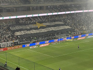 Foto: Barra: Movimento 105 Minutos &bull; Club: Atlético Mineiro &bull; País: Brasil