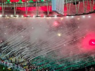 Foto: "vs Bahia" Barra: Movimento Popular Legião Tricolor &bull; Club: Fluminense