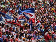 Foto: Barra: Movimento Turma Tricolor • Club: Bahia