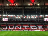 Foto: "vs Emelec por La Copa Libertadores, 31/07/2019" Barra: Nação 12 • Club: Flamengo • País: Brasil