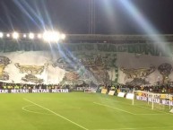 Foto: Barra: Nación Verdolaga • Club: Atlético Nacional • País: Colombia