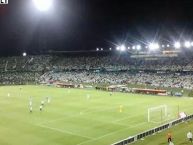 Foto: Barra: Nación Verdolaga • Club: Atlético Nacional • País: Colombia