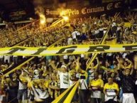 Foto: Barra: Os Tigres • Club: Criciúma • País: Brasil