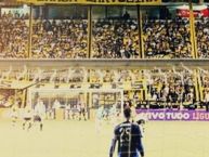 Foto: Barra: Os Tigres • Club: Criciúma