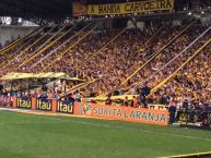 Foto: Barra: Os Tigres • Club: Criciúma • País: Brasil