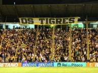 Foto: Barra: Os Tigres • Club: Criciúma • País: Brasil