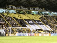 Foto: Barra: Os Tigres • Club: Criciúma