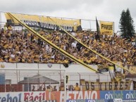 Foto: Barra: Os Tigres • Club: Criciúma