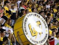 Foto: Barra: Os Tigres • Club: Criciúma