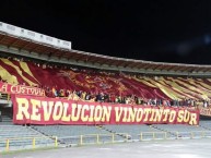 Foto: Barra: Revolución Vinotinto Sur • Club: Tolima