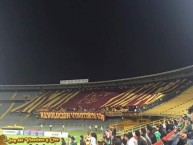 Foto: Barra: Revolución Vinotinto Sur • Club: Tolima • País: Colombia