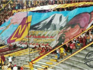 Foto: Barra: Revolución Vinotinto Sur • Club: Tolima