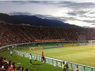 Foto: Barra: Revolución Vinotinto Sur • Club: Tolima • País: Colombia