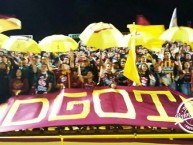 Foto: Barra: Revolución Vinotinto Sur • Club: Tolima