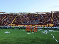 Foto: Barra: Revolución Vinotinto Sur • Club: Tolima