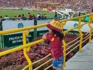 Foto: Barra: Revolución Vinotinto Sur • Club: Tolima