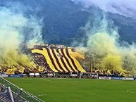 Foto: Barra: Revolución Vinotinto Sur • Club: Tolima • País: Colombia