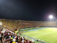 Foto: Barra: Revolución Vinotinto Sur • Club: Tolima • País: Colombia