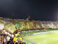 Foto: Barra: Revolución Vinotinto Sur • Club: Tolima • País: Colombia