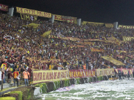 Foto: Barra: Revolución Vinotinto Sur • Club: Tolima • País: Colombia