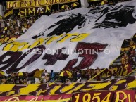 Foto: Barra: Revolución Vinotinto Sur • Club: Tolima • País: Colombia