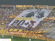 Foto: Barra: Revolución Vinotinto Sur • Club: Tolima • País: Colombia