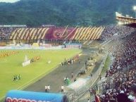 Foto: Barra: Revolución Vinotinto Sur • Club: Tolima • País: Colombia